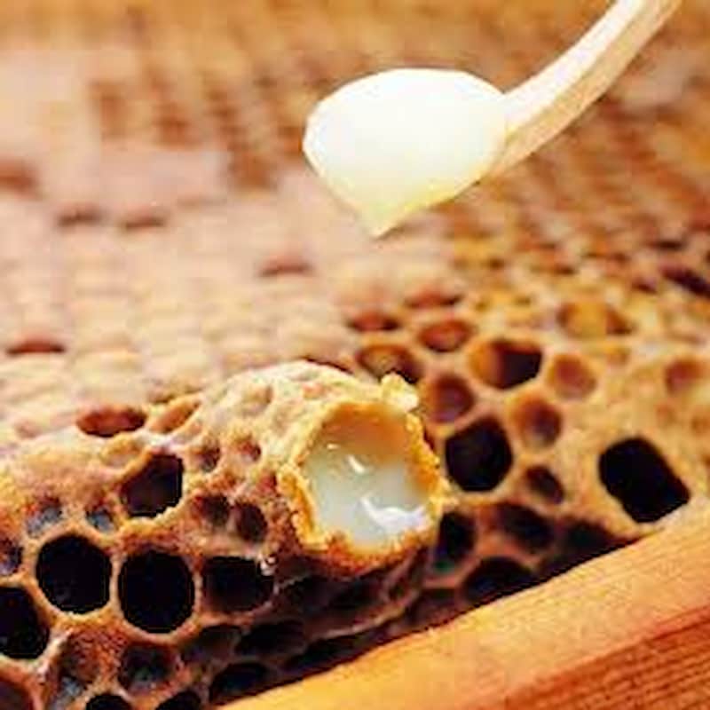 تصویر 3 از خرید ژل رویال ولور + قیمت فروش استثنایی